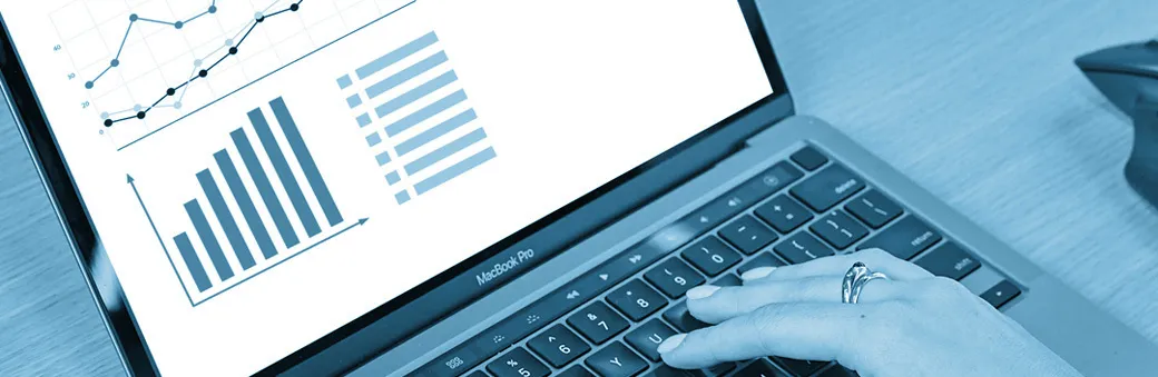 SEO Campaigns