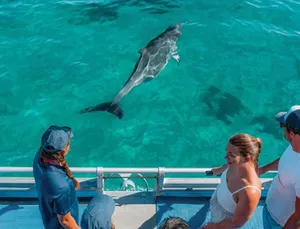 Tourism WA Tile